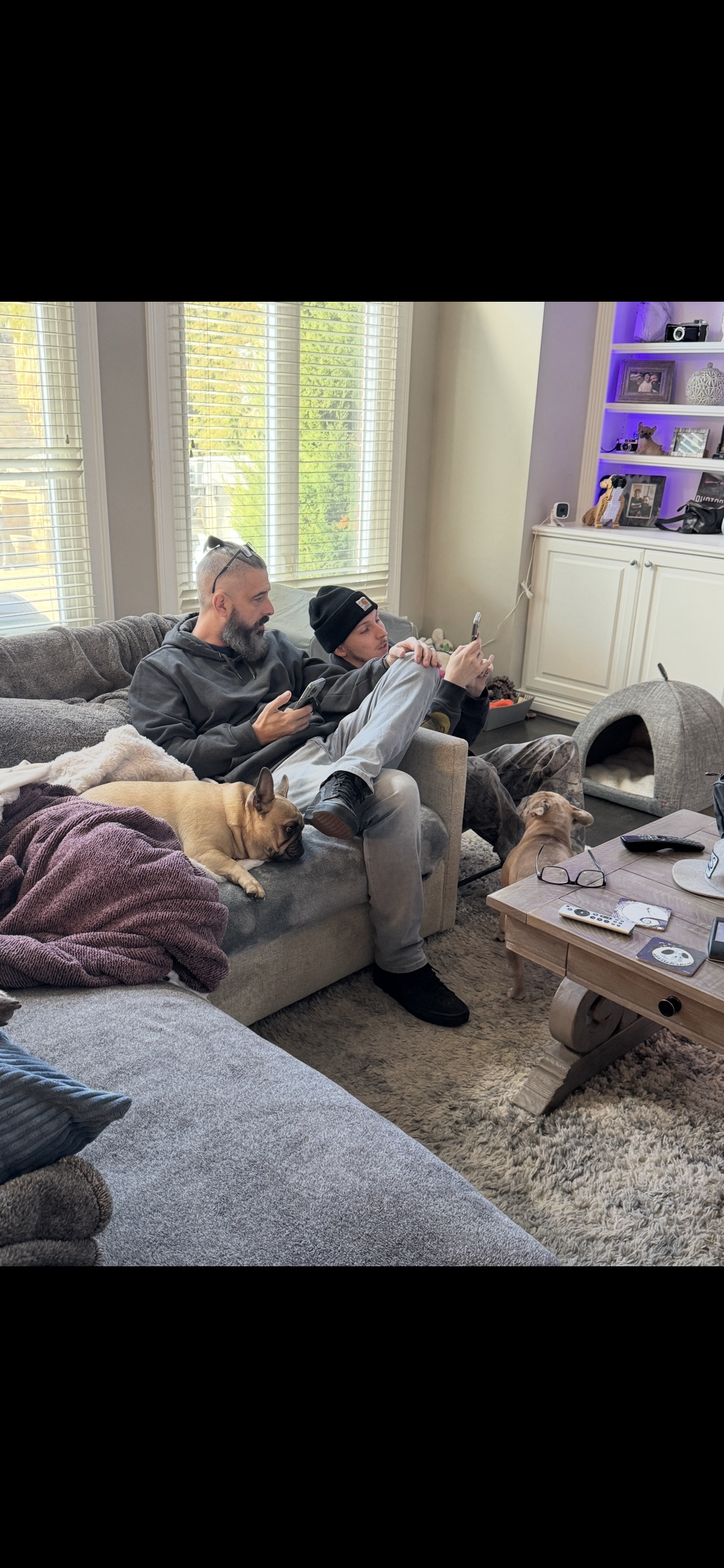 Stone relaxing with his dogs